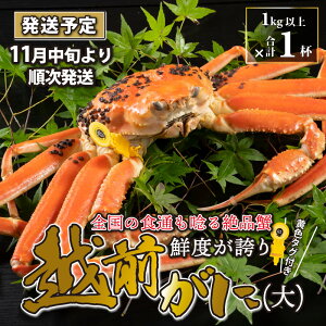 yӂ邳Ɣ[ŁzzO  i1kgȏj 1ty1120z/ Y YCKj 킢 YCI zOKj {C ① p Jj Ԃ CN Jj Jj Jj 