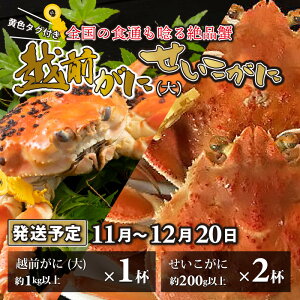 yӂ邳Ɣ[ŁzzO  i1kgȏj 1t E 2t y11`1220\z/ Y  YCKj 킢 YCI ZCRKj I ZRKj zOKj {C ① 