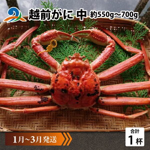 yӂ邳Ɣ[Łzys\zzO  (550g`700g)×1ty1`3z / Y YCKj 킢 YCI zOKj {C ① zO 