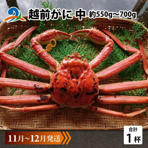 yӂ邳Ɣ[Łzys\zzO  (550g`700g)×1ty11`12z/ Y YCKj 킢 YCI zOKj {C ① p Jj Ԃ CN Jj Jj 