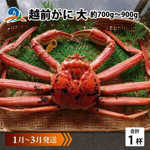 yӂ邳Ɣ[Łzys\zzO  (700g`900g)×1ty1`3z / Y YCKj 킢 YCI zOKj {C ① zO 