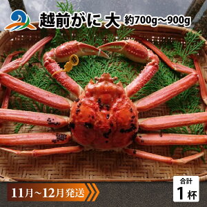 yӂ邳Ɣ[Łzys\zzO  (700g`900g)×1t y11`12z/ Y YCKj 킢 YCI zOKj {C ① p Jj Ԃ CN Jj Jj