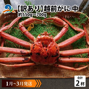yӂ邳Ɣ[Łzys\zy󂠂z zO  (550g`700g)×2ty1`3z / Y YCKj 킢 YCI zOKj {C ① zO 