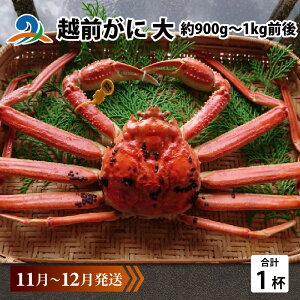yӂ邳Ɣ[Łzys\zzO  (900g`1kgO)×1ty11`12z / Y YCKj 킢 YCI zOKj {C ① p Jj Ԃ CN Jj J