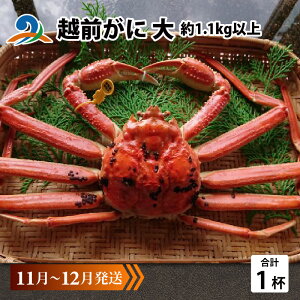 yӂ邳Ɣ[Łzys\zzO  (1.1kgȏ)×1t y11`12z/ Y YCKj 킢 YCI zOKj {C ① p Jj Ԃ CN Jj Jj