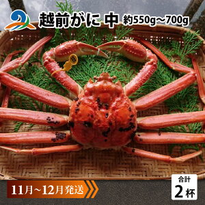 yӂ邳Ɣ[Łzys\zzO  (550g`700g)×2t y11`12z/ Y YCKj 킢 YCI zOKj {C ① p Jj Ԃ CN Jj Jj