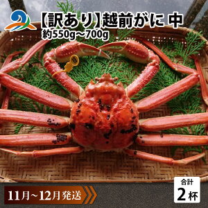 yӂ邳Ɣ[Łzys\zy󂠂z zO  (550g`700g)×2ty11`12z / Y YCKj 킢 YCI zOKj {C ① p Jj Ԃ CN Jj