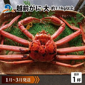 yӂ邳Ɣ[Łzys\zzO  (1.1kgȏ)×1ty1`3z / Y YCKj 킢 YCI zOKj {C ① zO 