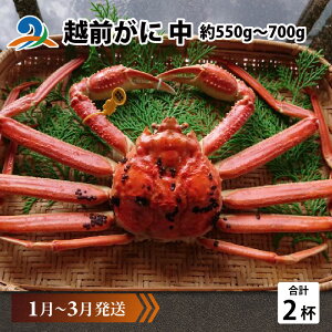yӂ邳Ɣ[Łzys\zzO  (550g`700g)×2ty1`3z / Y YCKj 킢 YCI zOKj {C ① zO 