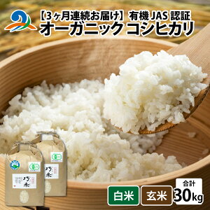 yӂ邳Ɣ[Łzys\zy3ցzy ߘa7NY V z L@JASF I[KjbNRVqJ 5kg×2×3iv30kgjy2025N11蔭z/ 10kg 10L zO _ L@ L