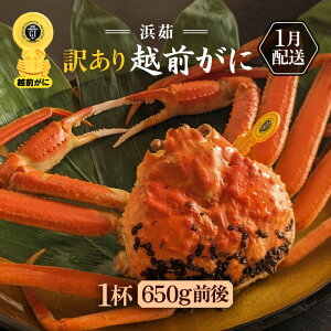 yӂ邳Ɣ[Łzy󂠂zl䥂ŁzO 1ti1t650gOjl2lO H׉[yKiO Y YCKj  Jj I zOKj p {C ① 䌧zy1z]