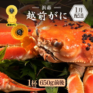 yӂ邳Ɣ[Łzl䥂ŁzO 1ti1t700gOjl2lO H׉[y Y YCKj  Jj I zOKj p {C ① 䌧zy1z]w l