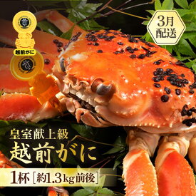 【ふるさと納税】≪浜茹で≫越前がに 超特 皇室献上級 1杯（約1.3kg前後）大人約2人前 食べ応え充分【雄 ズワイガニ かに カニ 蟹 越前ガニ 姿 ボイル 冷蔵 福井県】【3月発送分】希望日指定可 備考欄に希望日をご記入ください [e65-x005_03]