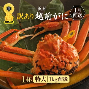 yӂ邳Ɣ[Łzy󂠂zl䥂ŁzO TCY 1ti1t1kgOjl2lO H׉[yKiO Y YCKj  Jj I zOKj p {C ① 䌧zy1