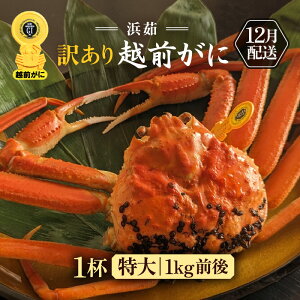 yӂ邳Ɣ[Łzy󂠂zl䥂ŁzO TCY 1ti1t1kgOjl2lO H׉[yKiO Y YCKj  Jj I zOKj p {C ① 䌧zy12