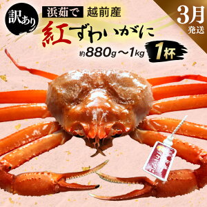 yӂ邳Ɣ[Łzy󂠂zl䥂ŁzOY g킢 × 1tiŖ880g`1kgjygYCKj Jj  Izyg킢Ɂzy3z
