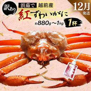 yӂ邳Ɣ[Łzy󂠂zl䥂ŁzOY g킢 × 1tiŖ880g`1kgjygYCKj Jj  Izyg킢Ɂzy12z