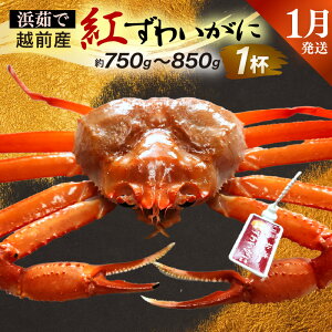 yӂ邳Ɣ[Łzl䥂ŁzOY g킢 × 1tiŖ750g`850gjy1zygYCKj Jj  Izyg킢Ɂz]ws
