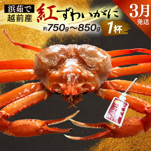 yӂ邳Ɣ[Łzl䥂ŁzOY g킢 × 1tiŖ750g`850gjy3zygYCKj Jj  Izyg킢Ɂz]ws