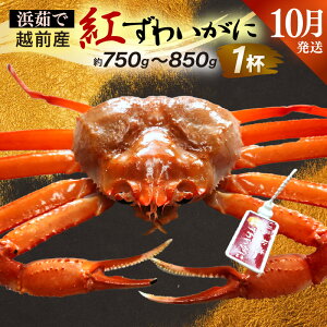 yӂ邳Ɣ[Łzl䥂ŁzOY g킢 × 1tiŖ750g`850gjy10zygYCKj Jj  Izyg킢Ɂz]ws