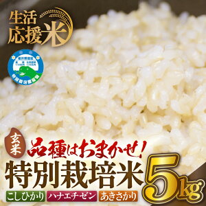 �y�ӂ邳�Ɣ[�Łz�y���������āz�ߘa7�N�Y �� ���ʍ͔|�� 5kg ���䌧�z�O���Y�y�I�ׂ鐸�ĕ��@�F����/���āz�y���� �R�� kome 5�L�� �ƒ�p �_��5�����z