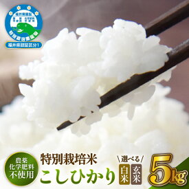 【ふるさと納税】【令和7年産 】 特別栽培米コシヒカリ5kg 農薬不使用米 福井県認証区分1取得 越前町【選べる精米方法：白米／玄米】【5キロ お米 コメ 農薬化学肥料不使用 送料無料】