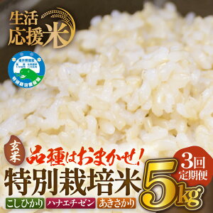 yӂ邳Ɣ[Łzyāz 3A͂ ߘa7NY ʍ͔|5kg × 3iv15kgj䌧zOYyIׂ鐸ĕ@F/āzy R kome 5L  ƒp _