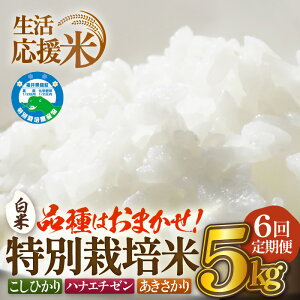 �y�ӂ邳�Ɣ[�Łz�y���� �����߂��z�񕍎�t2026/01/31�y���������āz����� ��6�����A�����͂��� �ߘa7�N�Y ���ʍ͔|��5kg × 6��i���v30kg�j���䌧�z�O���Y�y�I�ׂ鐸�ĕ��@�F����/���āz�y