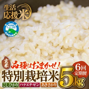 yӂ邳Ɣ[Łzyāz 6A͂ ߘa7NY ʍ͔|5kg × 6iv30kgj䌧zOYyIׂ鐸ĕ@F/āzy R kome 5L  ƒp _