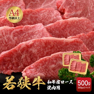 yӂ邳Ɣ[Łzu䌧uhvዷ a[Xēp v500g i250g × 2pbNj䌧Y [XA4 ȏIIy јa  a Ⓚ  o[׃L[ O