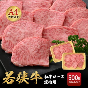 yӂ邳Ɣ[Łzu䌧uhvዷ a[Xēp v500gi250g × 2pbNj䌧Y [XA4 ȏIIy јa  a Ⓚ  o[׃L[ O
