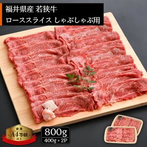 yӂ邳Ɣ[Łzu䌧uhvዷ Ԃԗp v800gi400g × 2pbNj䌧Y [XXCX A4 ȏIIy јa  a Ⓚ z [e02-e002]