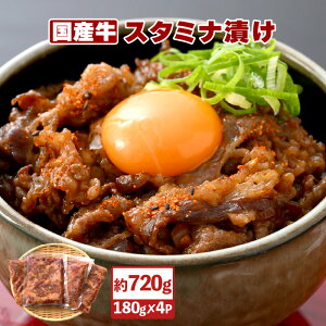 yӂ邳Ɣ[ŁzY X^~iЂ 720gi֗ȏ 180g × 4܁jo[xL[ɂyY  ؂藎Ƃ Ⓚ BBQ ܂ ٓ y yz [e03-a023]