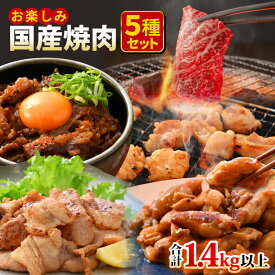 【ふるさと納税】国産 焼肉セット 合計1.4kg以上 お楽しみ【牛肉ロース 味付け肉 牛ホルモン 豚肉 鶏肉 小分け 便利 BBQセット お取り寄せ グルメ 送料無料 】