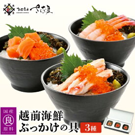 【ふるさと納税】海鮮丼の素 越前海鮮漬け 3種【甘えび ふくいサーモン 紅ずわいがに】【福井県 海鮮 海鮮丼 セット ギフト 詰め合わせ】 [e04-a006]