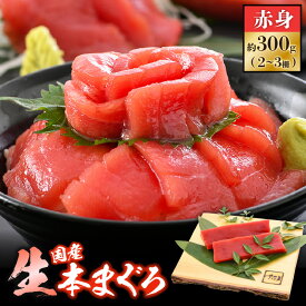 【ふるさと納税】 国産 生本マグロ 赤身 約300g（2〜3柵）まぐろの王様！！【本まぐろ 鮪 クロマグロ ホンマグロ まぐろ 冷蔵 お取り寄せ グルメ】 [e04-a082]