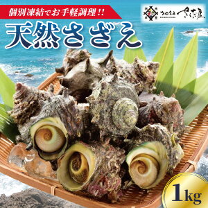 yӂ邳Ɣ[ŁzVR  1kg Mp Nx }ⓀyCN BBQ o[xL[ h TUGz [e04-a056]