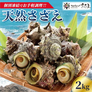 yӂ邳Ɣ[ŁzVR  2kg Mp Nx }ⓀyCN BBQ o[xL[ h TUGz [e04-a057]