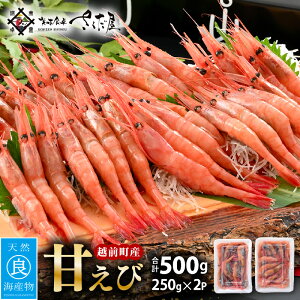 yӂ邳Ɣ[ŁzNxQIzOY Â 250g × 2PZbg  pbNŐHׂ₷Iy Gr CV hg CN CY L  VN Ⓚ z