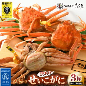 【ふるさと納税】 越前産 せいこがに 訳あり サイズ無選別（生で約100～200g）× 3杯（冷凍）【ずわいがに 雌】【かに カニ 蟹 せいこ蟹 セコガニ かに カニ 蟹 むき身 小分け 冷凍 福井県】