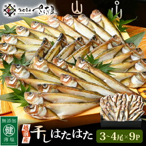 yӂ邳Ɣ[ŁzzOY ͂͂i3`4j× 9pbN zÔ݂ŎdグꉖIy Ђ n^n^ CN Ⓚ z [e04-a107]