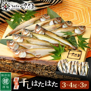 yӂ邳Ɣ[ŁzzOY ͂͂i3`4j× 3pbN zÔ݂ŎdグꉖIy Ђ n^n^ CN Ⓚ  z [e04-a108]