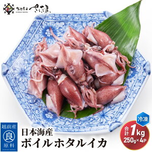 yӂ邳Ɣ[Łz {CY {C z^CJ v500gi250g×2Pj/ v1kgi250g×4PjyⓀzyق邢 z^CJ uG  CJ G CN  O ܂ z