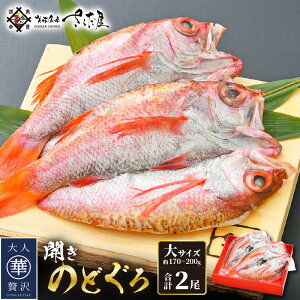 yӂ邳Ɣ[Łẑǂ J TCY × 2i170`200g / jy Ђ Y ̂ǂ mhO ނ AJc Ⓚ  ϔ z [e04-b030]