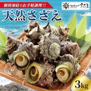 yӂ邳Ɣ[ŁzVR  3kg Mp Nx }ⓀyCN BBQ o[xL[ h TUGz [e04-b022]
