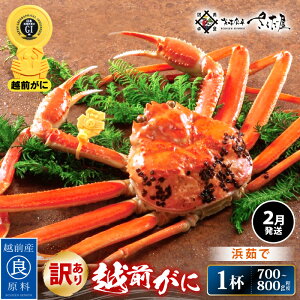 yӂ邳Ɣ[Łzy󂠂zl䥂ŁzO 700`800g × 1ti䥂őOdʁjHוty2zyY YCKj 킢  Jj I p {C 䌧z]w 