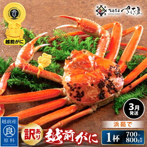 yӂ邳Ɣ[Łzy󂠂zl䥂ŁzO 700`800g × 1ti䥂őOdʁjHוty3zyY YCKj 킢  Jj I p {C 䌧z]w 