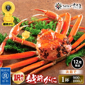 【ふるさと納税】【訳あり】≪浜茹で≫越前がに 約900g〜1.0kg × 1杯（茹で前重量）食べ方しおり付き【12月発送】【雄 ズワイガニ ずわいがに かに カニ 蟹 姿 ボイル 福井県】希望日指定可 備考欄に希望日をご記入ください [e04-x023_12]