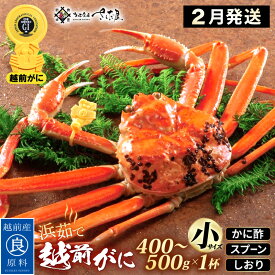 【ふるさと納税】浜茹で 越前がに 小サイズ（生で400〜500g）× 1杯 かに酢 食べ方しおり スプーン付き【2月発送分】【かに カニ 蟹 ズワイガニ ずわいがに 姿 ボイル 福井県 冷蔵】希望日指定可 備考欄に希望日をご記入ください [e04-x028_02]