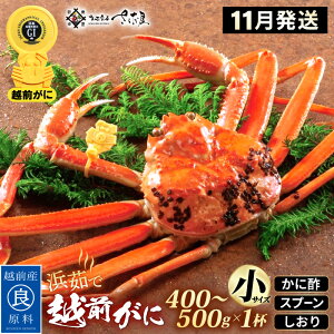 yӂ邳Ɣ[Łzl䥂 zO TCYi400`500gj × 1t ɐ| Hו Xv[ty11zy Jj I YCKj 킢 p {C 䌧 ①z]w